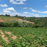 Área de Terra à venda em Cristóvão, Araçoiaba da Serra, SP