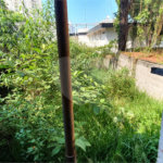 Sobrado à venda com 2 quartos em Baeta Neves, São Bernardo do Campo, SP