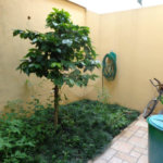Casa à venda com 2 suítes em Jardim Olympia, São Paulo, SP