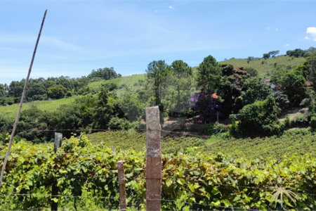 Chácara à venda em Estância Hidromineral Santa Eliza, Itupeva, SP
