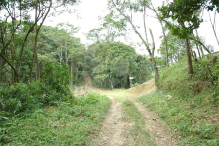 Terreno à venda em Rio Grande, São Bernardo do Campo, SP