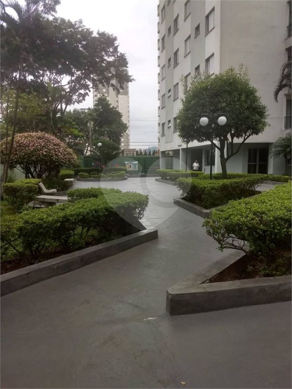 Apartamento à venda com 2 quartos em Mandaqui, São Paulo, SP