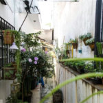 Casa Térrea à venda com 2 quartos em Vila Maria, São Paulo, SP