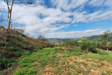 Área de Terra à venda com 1 suíte em Cocais, Itatiba, SP