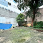 Casa Térrea à venda com 3 quartos em Vila Pereira Barreto, São Paulo, SP