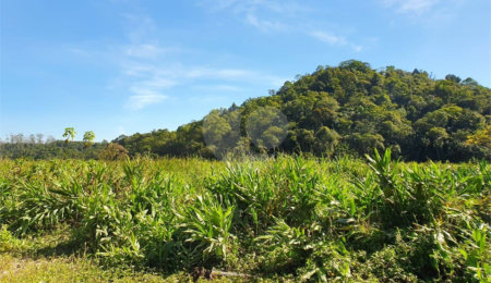 Terreno à venda em Vila Figueiredo, Rio Grande da Serra, SP