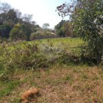 Terreno à venda com 1 suíte em Jardim São Bento do Recreio, Valinhos, SP