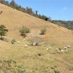 Sítio à venda com 3 suítes em Bairro do Cambará, São Roque, SP