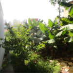 Terreno à venda em Vila São José, Valinhos, SP