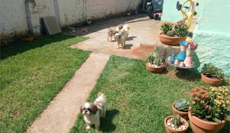 Casa à venda com 1 quarto em Vila Rio Branco, Itapetininga, SP