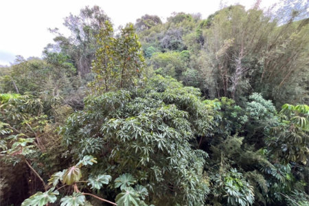 Apartamento Residencial à venda, Barra Funda, Guarujá - AP0311.