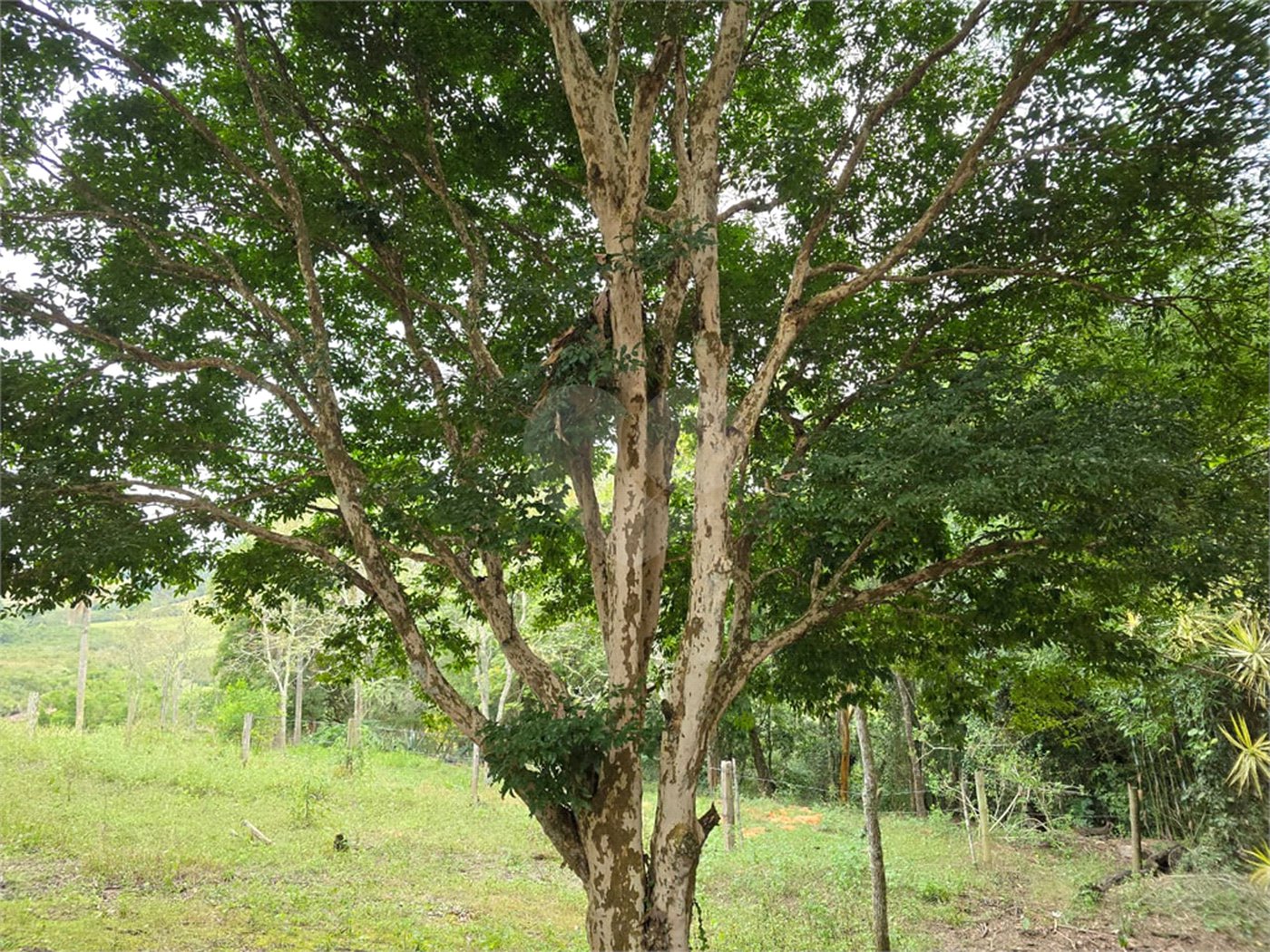Sítio à venda com 6 quartos, sendo 5 suítes, em Área Rural de Itapetininga, Itapetininga, SP