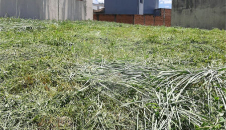 Terreno à venda em City Ribeirão, Ribeirão Preto, SP