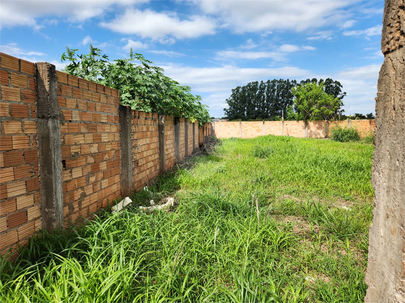 Terreno à venda em Parque Alvorada, Araraquara, SP