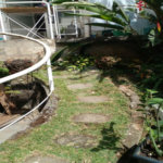 Casa à venda com 6 quartos em Jardim Peri Peri, São Paulo, SP