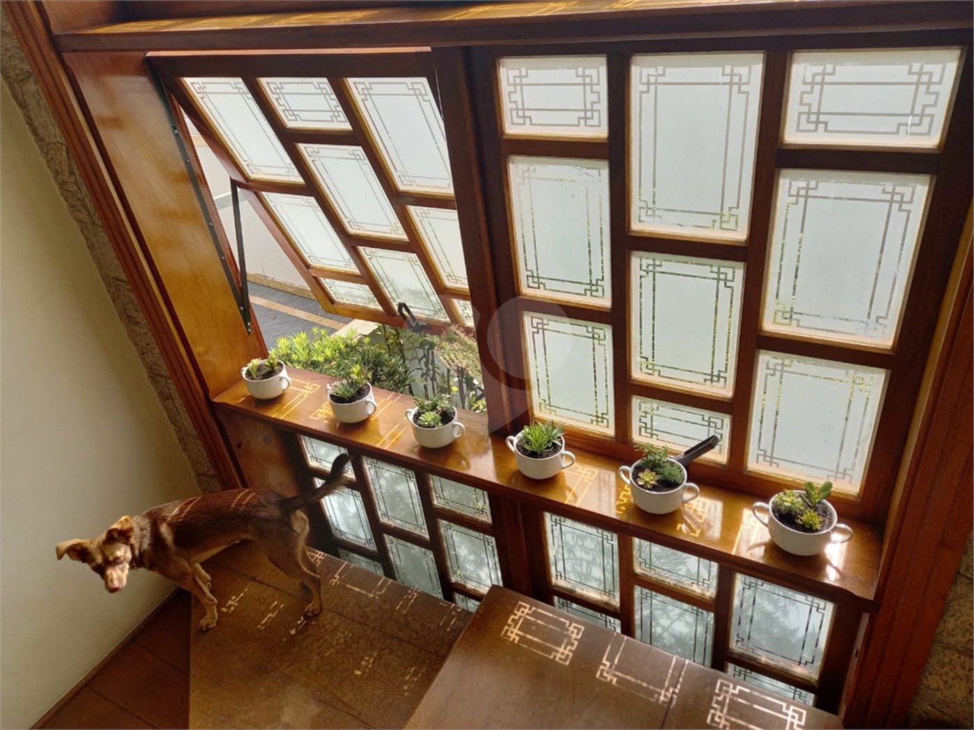 Casa à venda com 4 suítes no condomínio Bibi II, São Paulo - SP