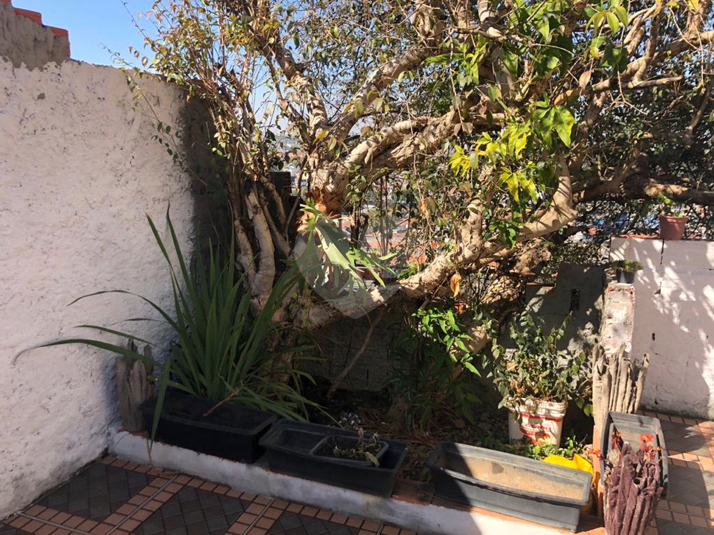 Casa Térrea à venda com 3 quartos em Tremembé, São Paulo, SP