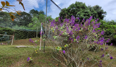 Terreno à venda em Alpes D'ouro, Bom Jesus dos Perdões, SP