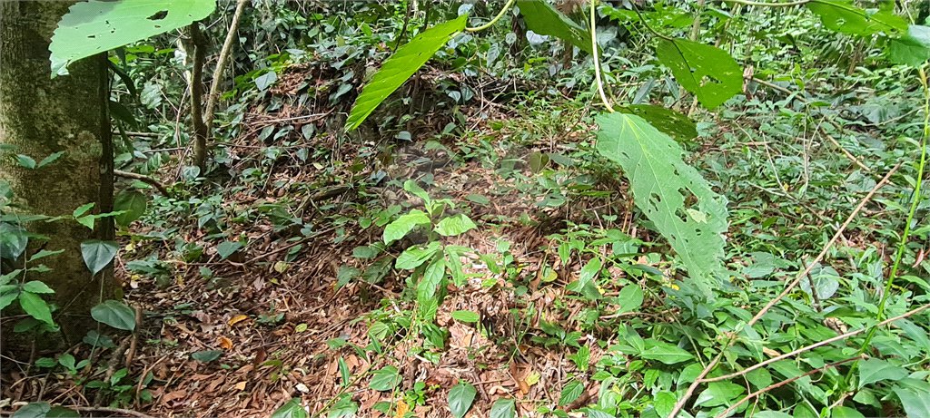 Terreno à venda em Caraguatá, Mairiporã, SP