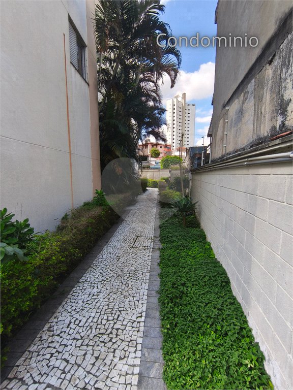 Apartamento à venda com 3 quartos em Vila Matilde, São Paulo, SP