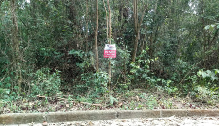 Terreno à venda em Serra da Cantareira, Mairiporã, SP