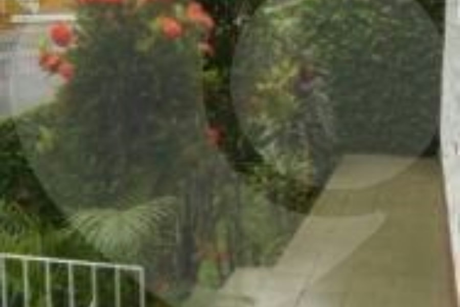 Casa Térrea à venda com 3 quartos em Vila Irmãos Arnoni, São Paulo, SP