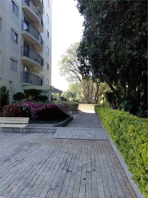 Apartamento à venda com 3 quartos, sendo 1 suíte, em Tucuruvi, São Paulo, SP