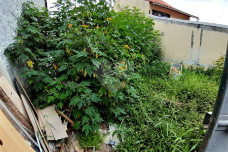 Terreno à venda em Tucuruvi, São Paulo, SP