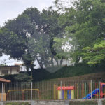 Apartamento à venda com 2 quartos em Vila Amélia, São Paulo, SP