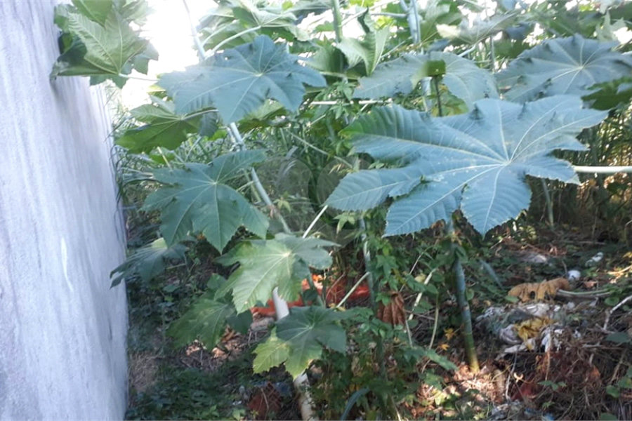 Terreno à venda em Santana, São Paulo, SP