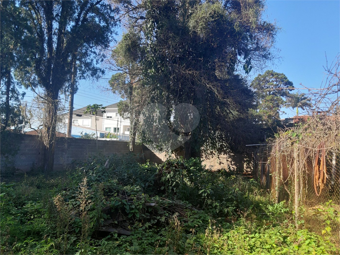 Terreno à venda em Vila Gustavo, São Paulo, SP