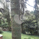 Casa à venda com 3 quartos, sendo 1 suíte, no condomínio Jardim da Monntanha II, Mairiporã - SP