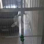 Sobrado à venda com 2 quartos, sendo 1 suíte,  em Vila Maria, São Paulo, SP