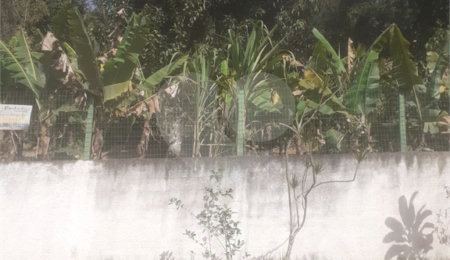 Terreno à venda em Aguazul, Guarulhos, SP