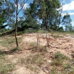 Área de Terra à venda em Monte Alegre, Vinhedo, SP