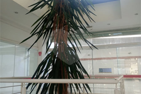 Prédio à venda ou para alugar em Jardim Europa, Sorocaba, SP