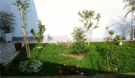 Sobrado à venda com 5 quartos, sendo 1 suíte,  em Jardim Virginia Bianca, São Paulo, SP