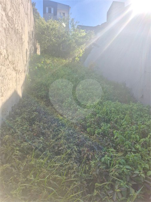 Terreno à venda em Jardim Adelfiore, São Paulo, SP