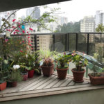 Apartamento à venda com 3 quartos, sendo 1 suíte, em Vila Andrade, São Paulo, SP