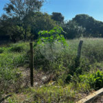 Terreno à venda em Chapadinha, Itapetininga, SP