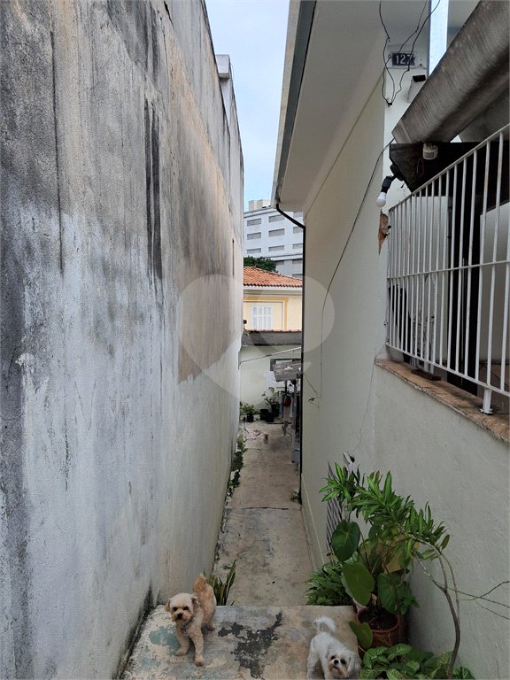 Casa à venda com 4 quartos em Tucuruvi, São Paulo, SP