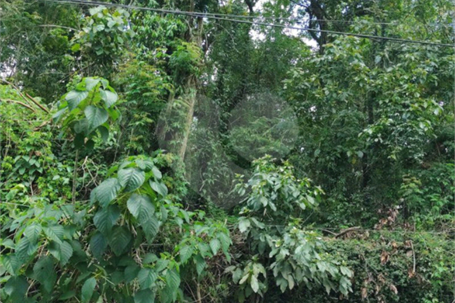 Terreno à venda em Serra da Cantareira, Mairiporã, SP