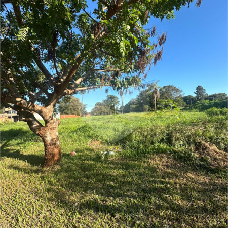 Terreno à venda em Pedro Juan Caballero, Amambay