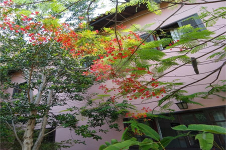 Chácara à venda com 4 suítes em Vale das Laranjeiras, Indaiatuba, SP