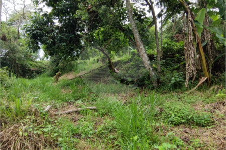 Terreno à venda em Vila Moraes, Mogi das Cruzes, SP
