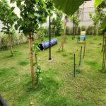 Apartamento à venda com 2 suítes em Vila Andrade, São Paulo, SP