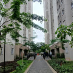 Apartamento à venda com 2 quartos em Vila Moreira, São Paulo, SP