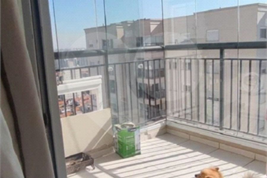 Apartamento à venda com 2 quartos, sendo 1 suíte,  em Jardim Flor da Montanha, Guarulhos, SP