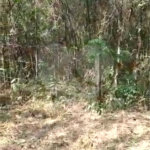 Terreno à venda em Luiz Fagundes, Mairiporã, SP