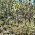 Sítio à venda com 3 quartos, sendo 1 suíte,  em Da Barra, Salto de Pirapora, SP